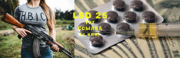 индика Горнозаводск