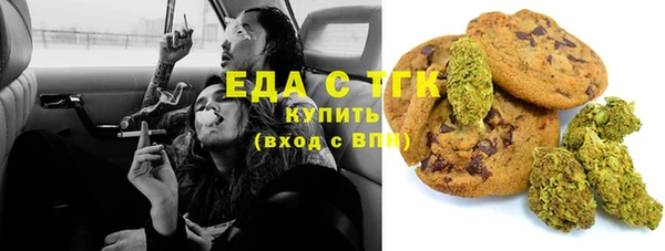 индика Горнозаводск