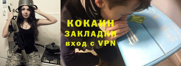 индика Горнозаводск