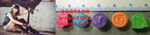 индика Горнозаводск