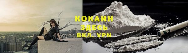 эйфоретик Горняк