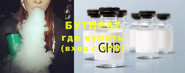 индика Горнозаводск