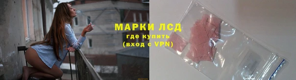 индика Горнозаводск