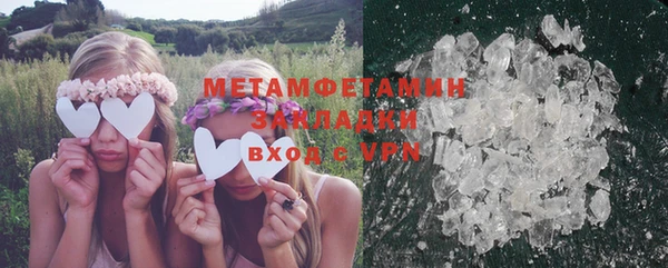 индика Горнозаводск