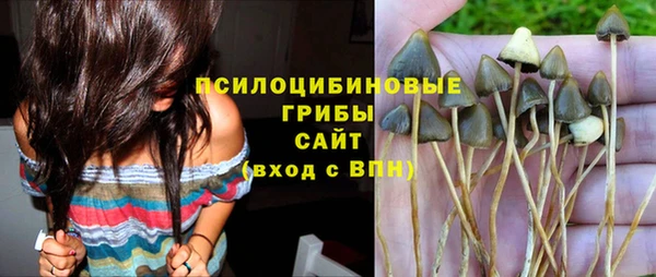 индика Горнозаводск