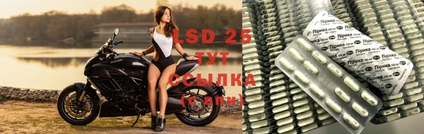 индика Горнозаводск