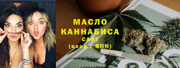 индика Горнозаводск