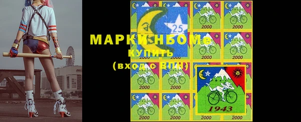 индика Горнозаводск