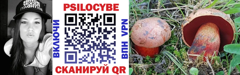 Псилоцибиновые грибы Psilocybe Микунь